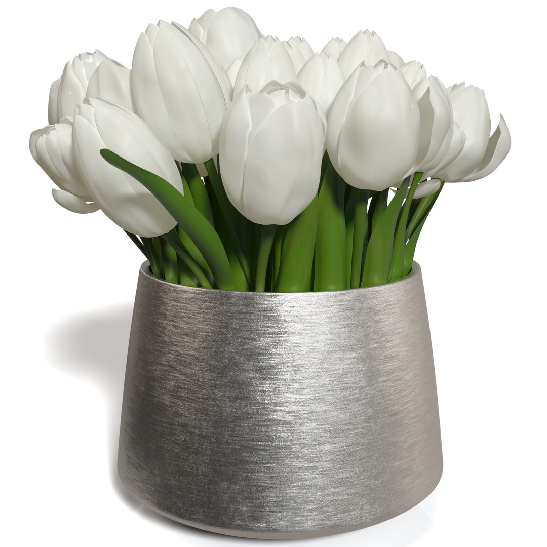 3D White Sulip In Silver Vase PBR Model - TurboSquid 2236776