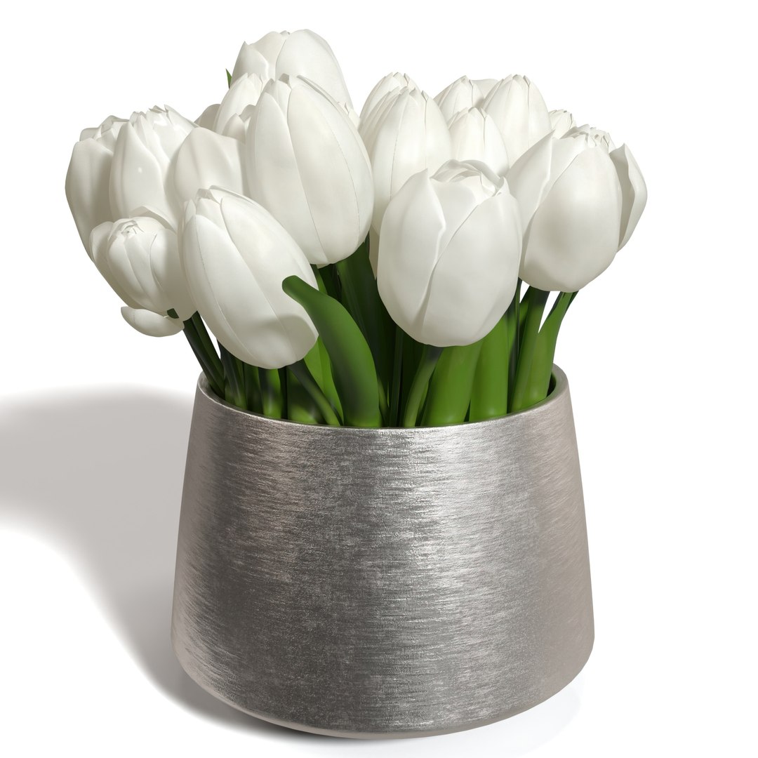 3D White Sulip In Silver Vase PBR Model - TurboSquid 2236776