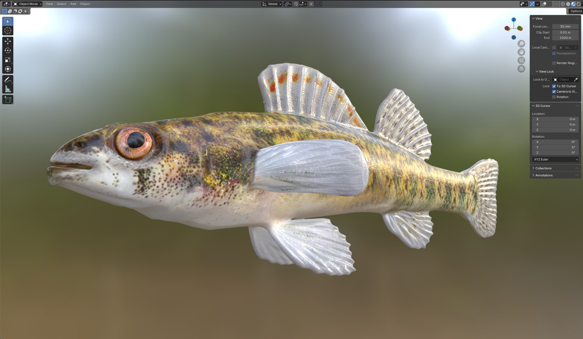 3D Backwater Darter fish https://p.turbosquid.com/ts-thumb/TH/7pLM2O/vm/6/jpg/1767690326/1920x1080/fit_q87/75494ef362f2bde6e72afe2d5c0132c26222a0a7/6.jpg