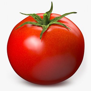 3D tomato food