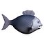 fish cartoon character rigged 3d 3ds