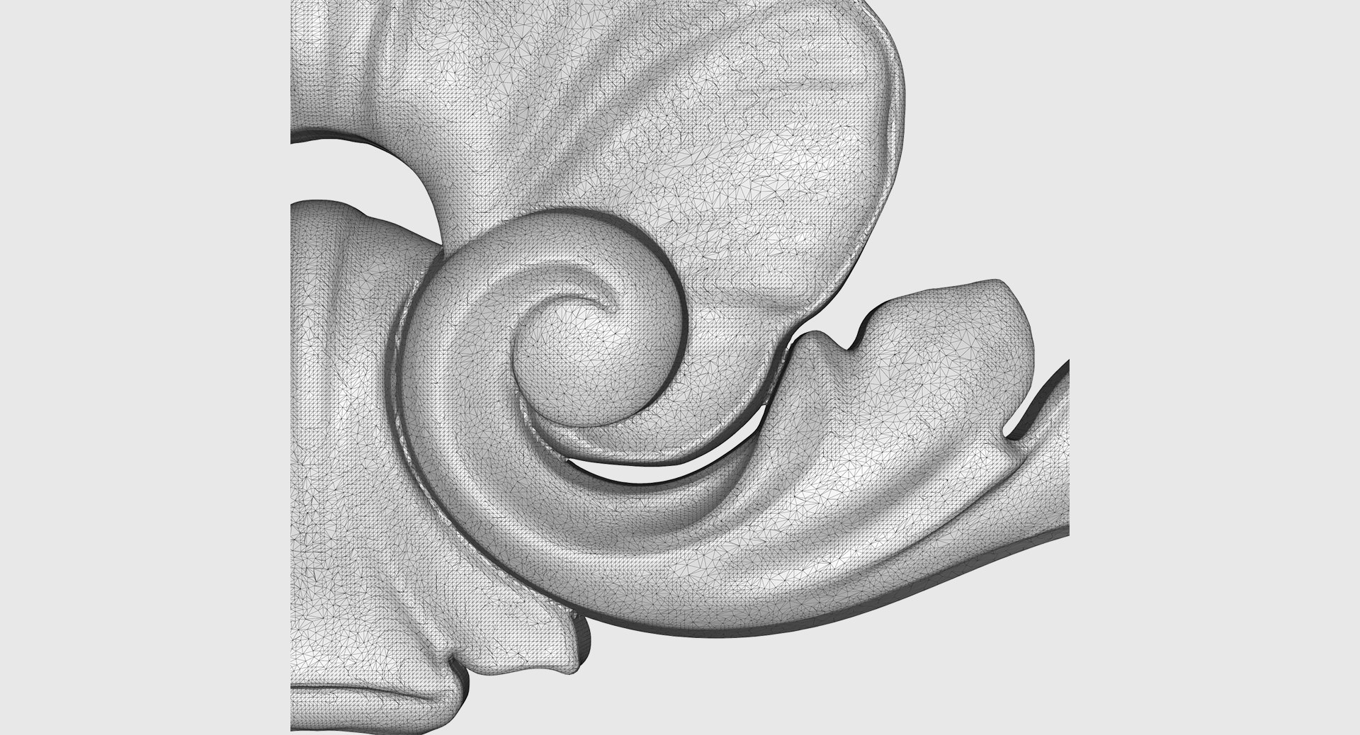 3D Onlays Shells - TurboSquid 1592424