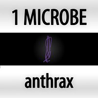 anthrax - bacillus anthracis