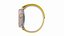 Apple Watch Ultra Titanium Case with Yellow And Beige Trail Loop 3ds Max