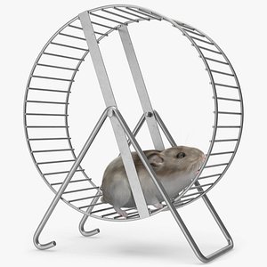 Pet Exercise Wheel on Stand with Running Hamster Fur 3D