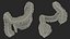 human colon 3D model