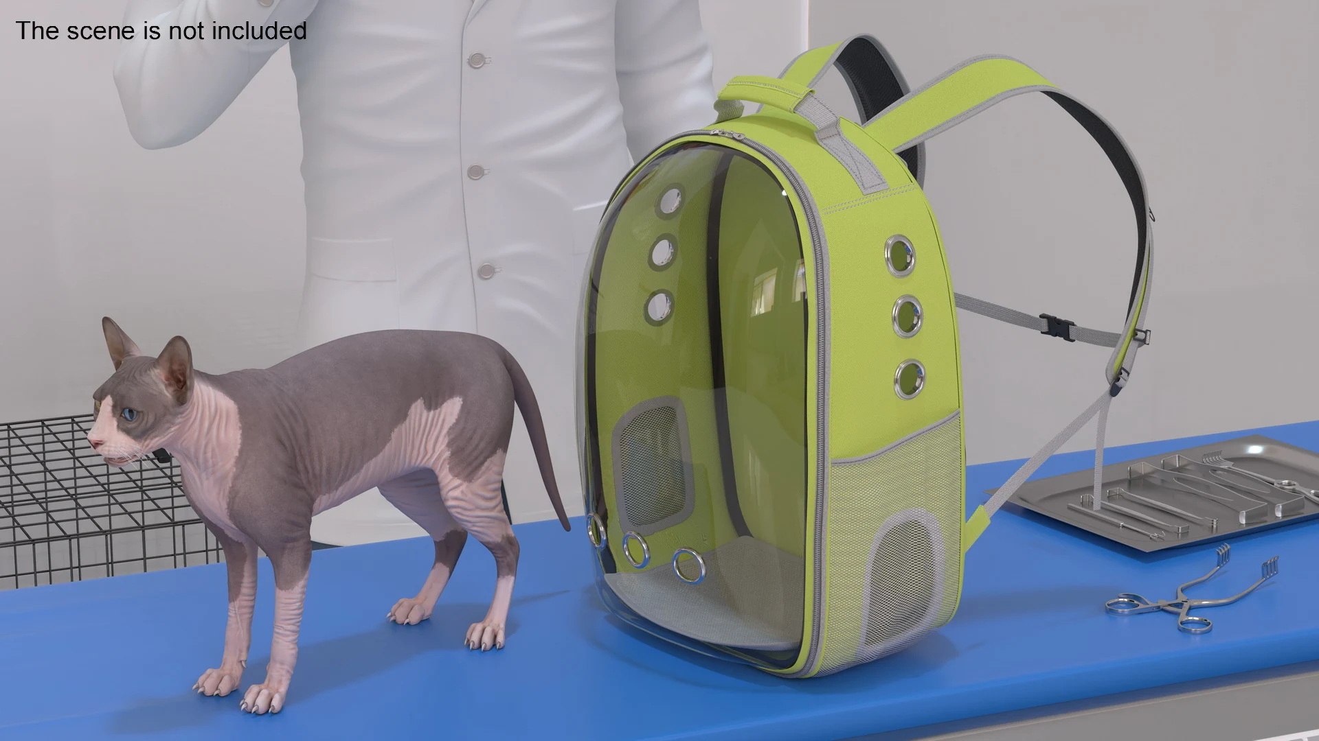 3D Animal Accessories Collection 4 model https://p.turbosquid.com/ts-thumb/TH/z0esfW/Qd/animal_accessories_collection_4_005/jpg/1785398118/1920x1080/fit_q87/69db6688856793780aeb92adc0d168f4e07c7943/animal_accessories_collection_4_005.jpg