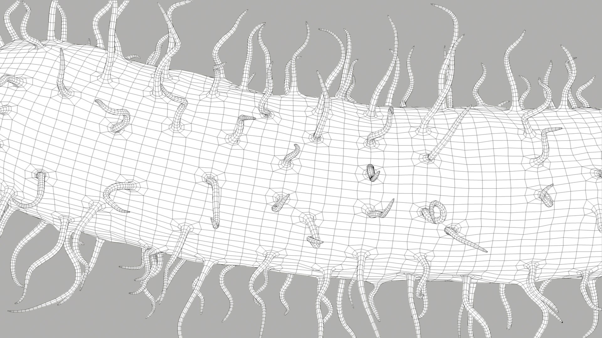 Pseudomonas Aeruginosa Bacteria model https://p.turbosquid.com/ts-thumb/TI/9vlrNQ/64/aeruginosabacteria_im_outline__06/jpg/1782196645/1920x1080/fit_q87/e48d4680915be6c660b82966368e055088dceb1e/aeruginosabacteria_im_outline__06.jpg