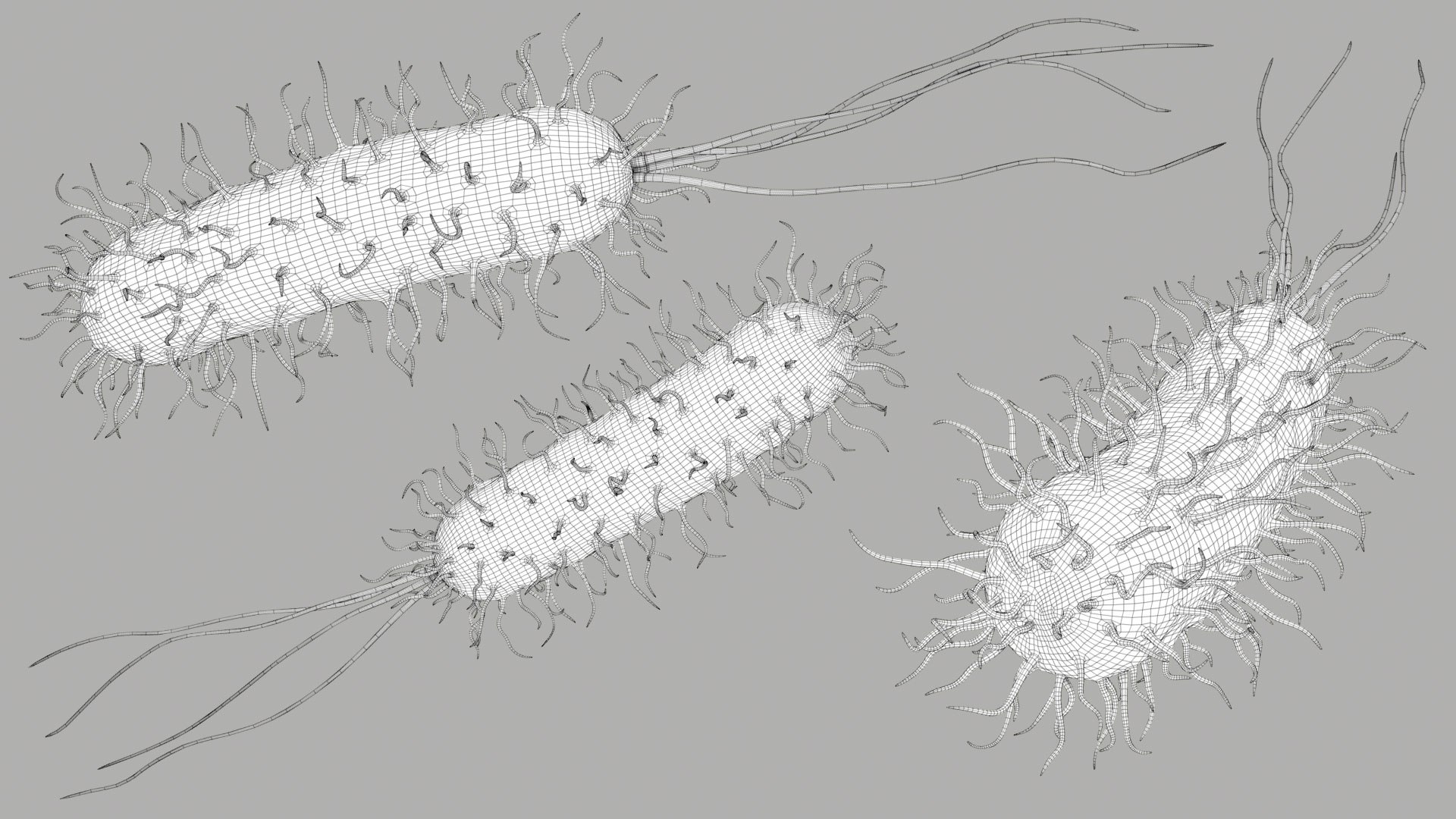 Pseudomonas Aeruginosa Bacteria model https://p.turbosquid.com/ts-thumb/TI/9vlrNQ/Cs/aeruginosabacteria_im_outline__03/jpg/1782196643/1920x1080/fit_q87/a679bd604d2c3e3b52caa61ba8fc6f43f049a184/aeruginosabacteria_im_outline__03.jpg