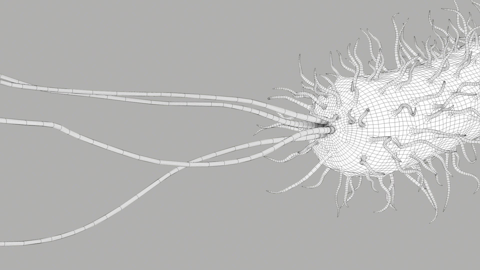 Pseudomonas Aeruginosa Bacteria model https://p.turbosquid.com/ts-thumb/TI/9vlrNQ/KU/aeruginosabacteria_im_outline__05/jpg/1782196644/1920x1080/fit_q87/d170cfb619b100e59607f9217d68d8214b68d694/aeruginosabacteria_im_outline__05.jpg