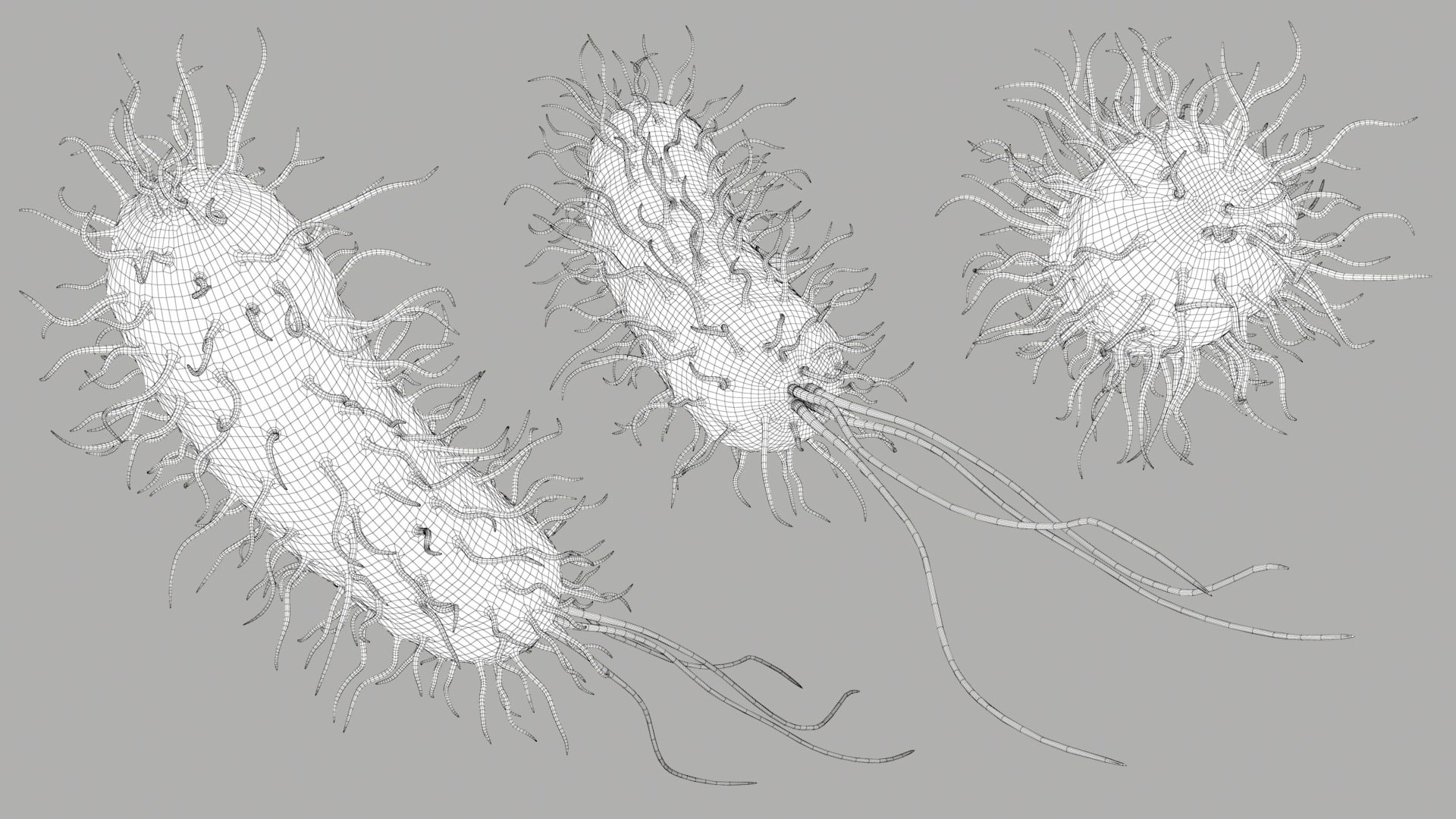 Pseudomonas Aeruginosa Bacteria model https://p.turbosquid.com/ts-thumb/TI/9vlrNQ/aL/aeruginosabacteria_im_outline__02/jpg/1782196643/1920x1080/fit_q87/8da3d8d33979571dc13f5998edb6c0092ca69ed5/aeruginosabacteria_im_outline__02.jpg
