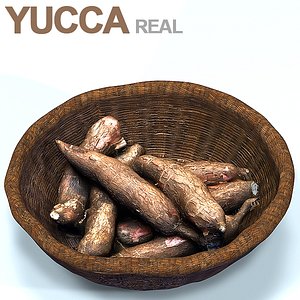 YUCCA BASKET HD