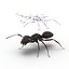 3d model black ant rigged