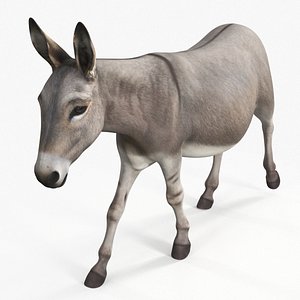 3D Four-Legged Livestock Donkey Rigged model