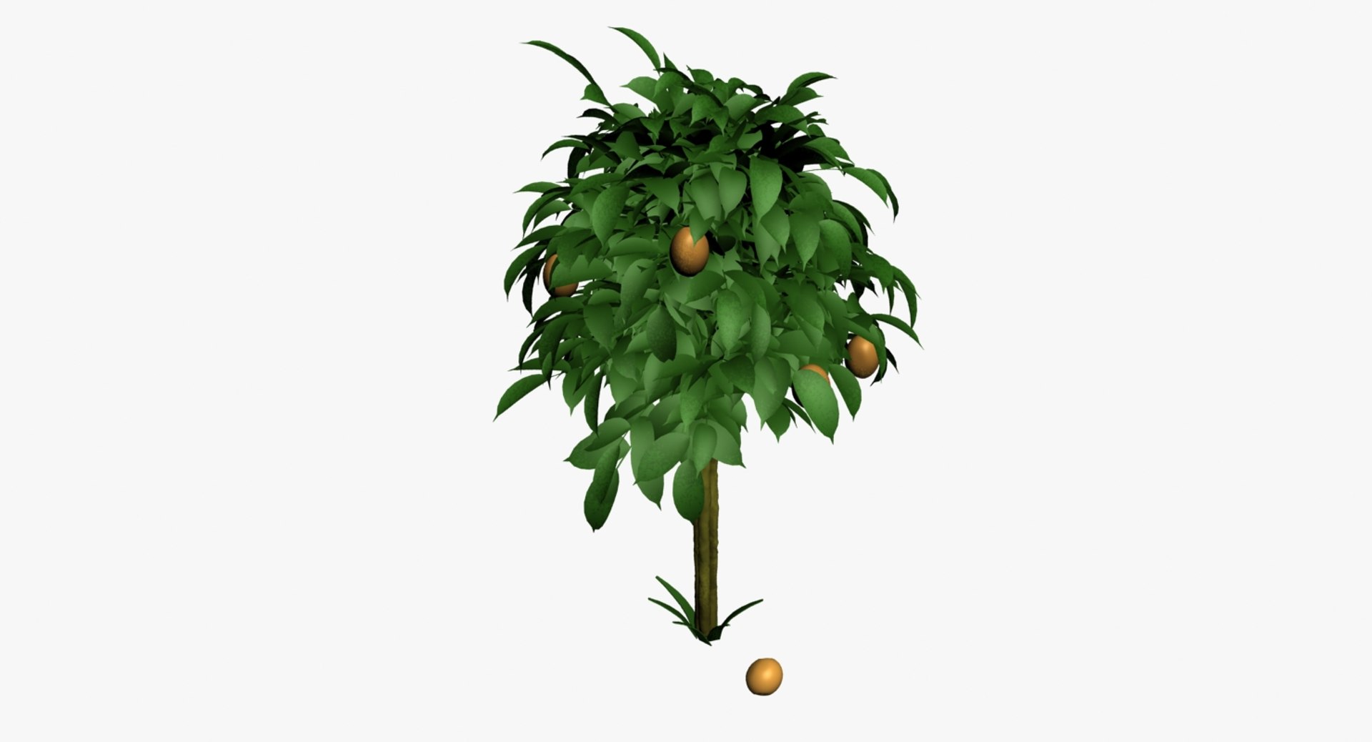 3d Model Orange Tree