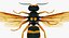 3D wasp