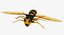 3D wasp