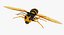 3D wasp