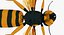 3D wasp