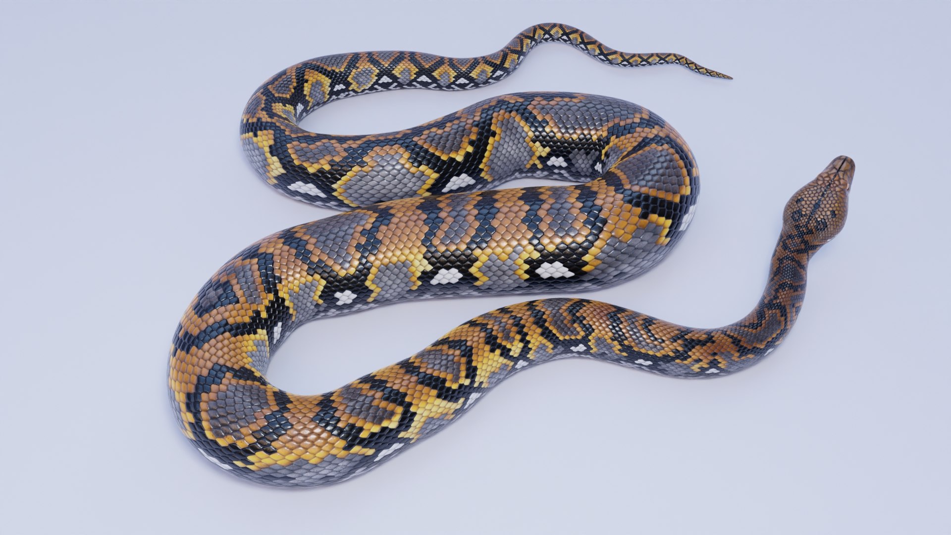 3D Reticulated Python - Rigged - TurboSquid 1842287