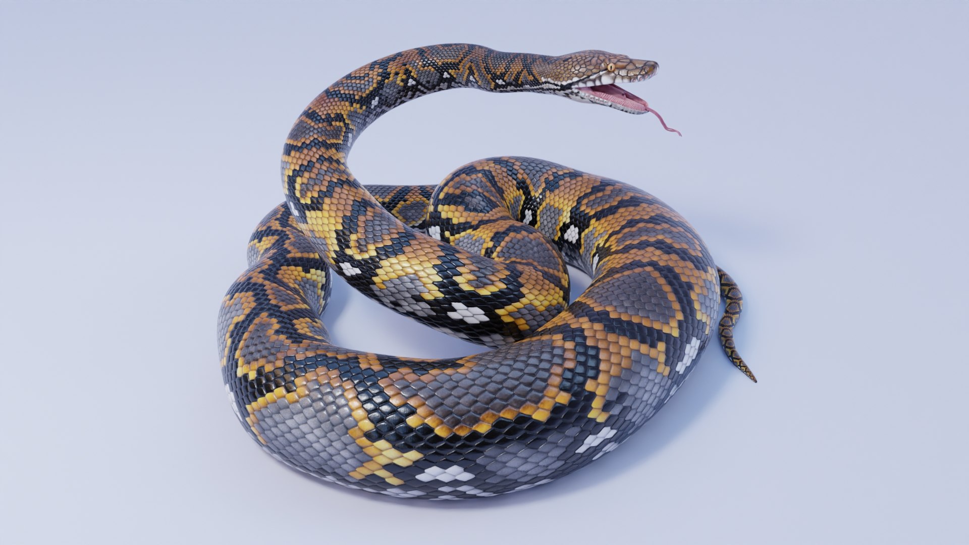 3D Reticulated Python - Rigged - TurboSquid 1842287
