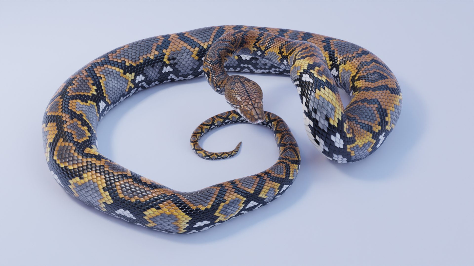 3D Reticulated Python - Rigged - TurboSquid 1842287