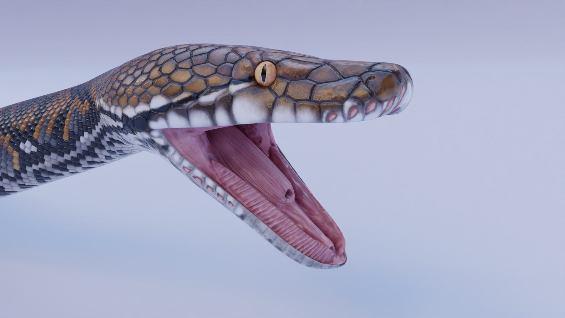 3D Reticulated Python - Rigged - TurboSquid 1842287