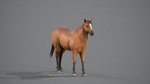 Horse Brown 3D model