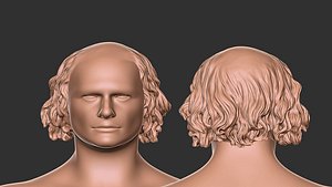 3D hair 60