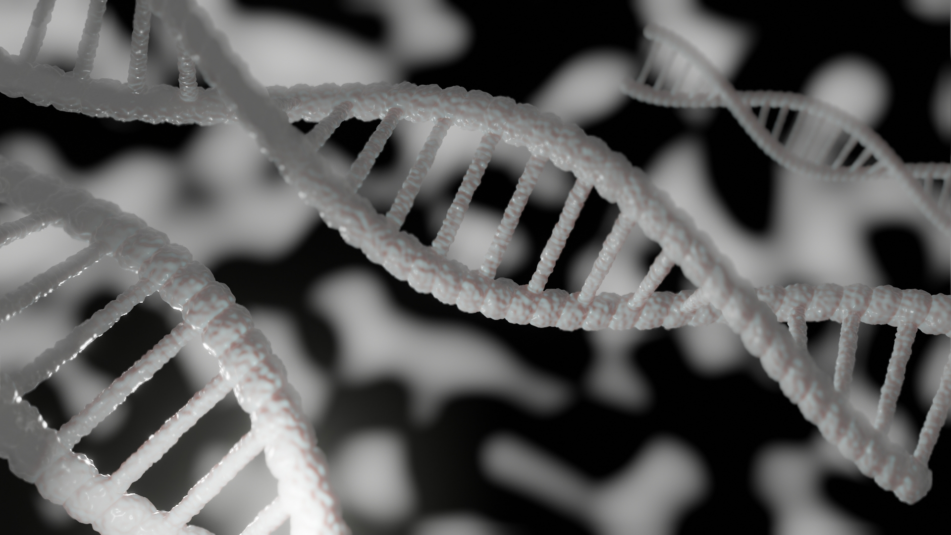 dna model 3d model
