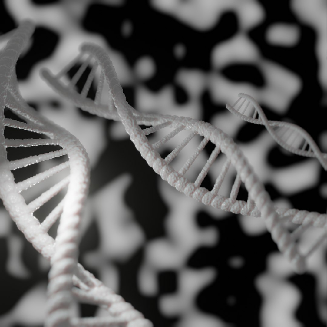 dna model 3d model