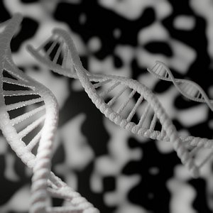 DNA model