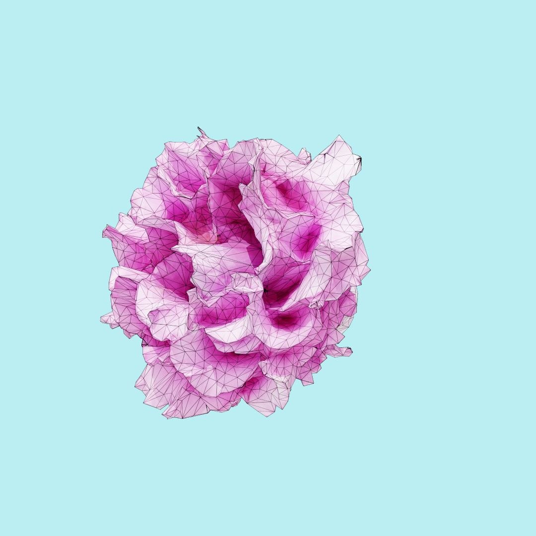 25 flower 3D model https://p.turbosquid.com/ts-thumb/TJ/67tfHC/1S9X30mR/polygonalminiaturesnatureflowerscarnationclovepinkdianthuscaryophylluswireframe_00000/jpg/1596474798/1920x1080/fit_q87/fb64ca710a5cd70ef8358773e9e22c80761c95f1/polygonalminiaturesnatureflowerscarnationclovepinkdianthuscaryophylluswireframe_00000.jpg