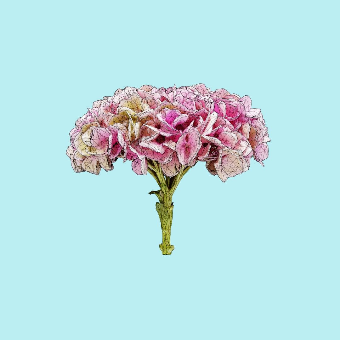 25 flower 3D model https://p.turbosquid.com/ts-thumb/TJ/67tfHC/8gzTcpoB/polygonalminiaturesnatureflowersmpoheadhydrangeawireframe_00000/jpg/1596474799/1920x1080/fit_q87/3b586c13805cfbe14bc7087fdfb7e0cf95ca3415/polygonalminiaturesnatureflowersmpoheadhydrangeawireframe_00000.jpg