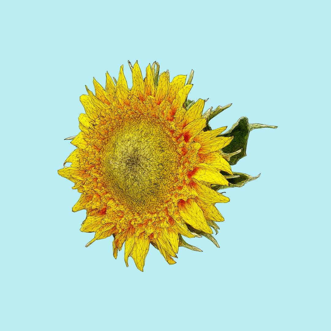25 flower 3D model https://p.turbosquid.com/ts-thumb/TJ/67tfHC/LxU8TjEG/polygonalminiaturesnatureflowerssunfloweryellowwireframe_00000/jpg/1596474799/1920x1080/fit_q87/d1f70ef3a33208b6e11148ce7fdde34c84139809/polygonalminiaturesnatureflowerssunfloweryellowwireframe_00000.jpg