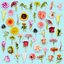 25 Flower Collection