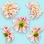 25 Flower Collection
