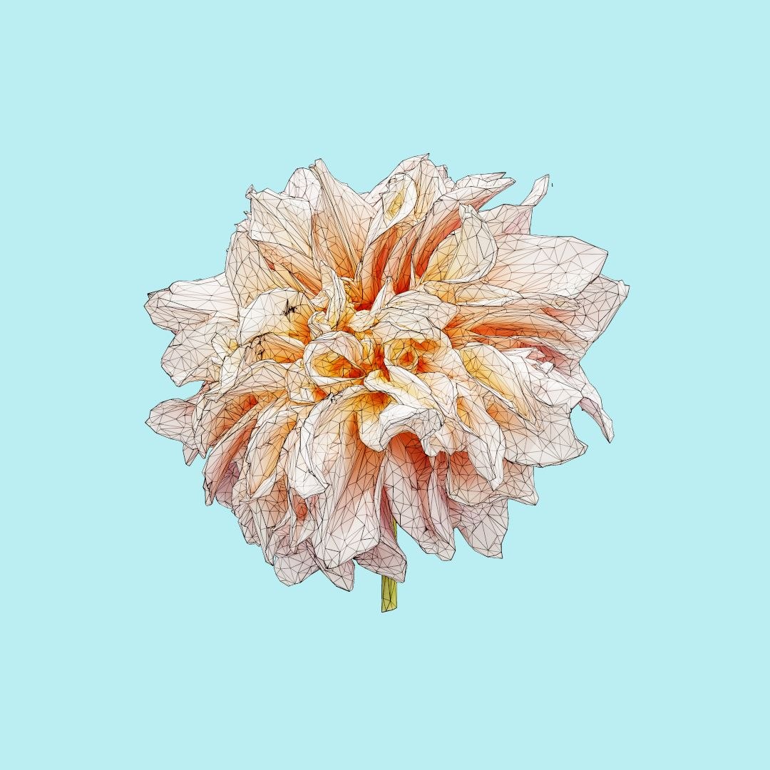 25 flower 3D model https://p.turbosquid.com/ts-thumb/TJ/67tfHC/a9krb7Xo/polygonalminiaturesnatureflowersgardendahliapinkwireframe_00000/jpg/1596474798/1920x1080/fit_q87/22edff9820c66828cdef371d958b1842f5c28768/polygonalminiaturesnatureflowersgardendahliapinkwireframe_00000.jpg