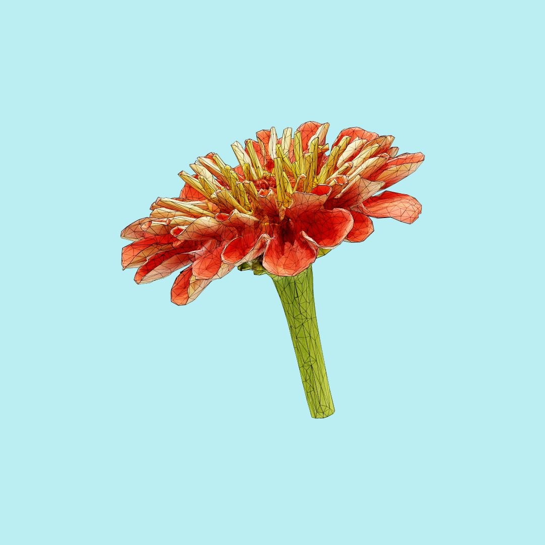 25 flower 3D model https://p.turbosquid.com/ts-thumb/TJ/67tfHC/eMT88evV/polygonalminiaturesnatureflowerselegantzinniaredwireframe_00000/jpg/1596474798/1920x1080/fit_q87/9c16baea8de15517b502ab287f7f93a1cf7f9bda/polygonalminiaturesnatureflowerselegantzinniaredwireframe_00000.jpg