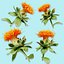 25 Flower Collection