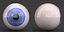 3D human eyeball model