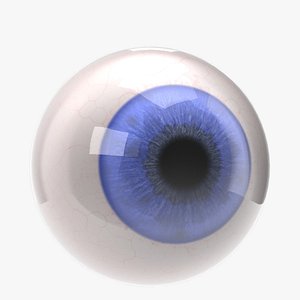 Human eyeball