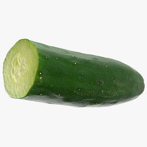 Japanese Cucumber Half 02 Raw Scan 3D model