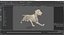 Dog Skeleton Anatomy with Translucent Shell Rigged for Maya
