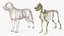 Dog Skeleton Anatomy with Translucent Shell Rigged for Maya