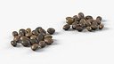 Cannabis Seed Cluster