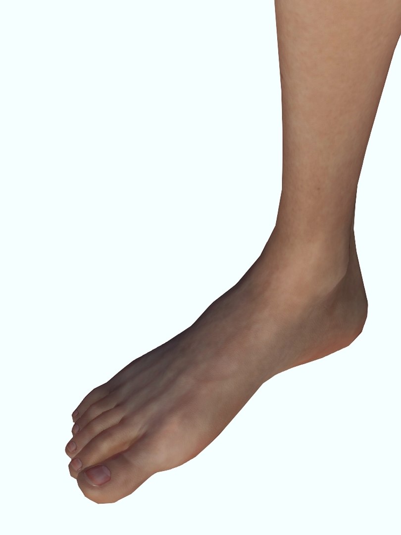 file body model https://p.turbosquid.com/ts-thumb/TJ/JR2YQr/fOUBxPYo/06/jpg/1606260485/1920x1080/fit_q87/f2b64bead9e101849dccab6a9536762bd9118b05/06.jpg