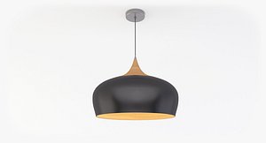 gaucho 1 light pendant 3D model