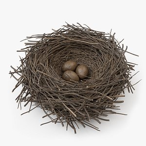 Bird Nest Structure with Three Eggs