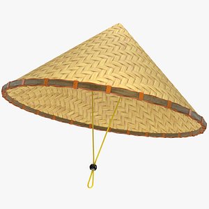 3D Bamboo Asian Hat